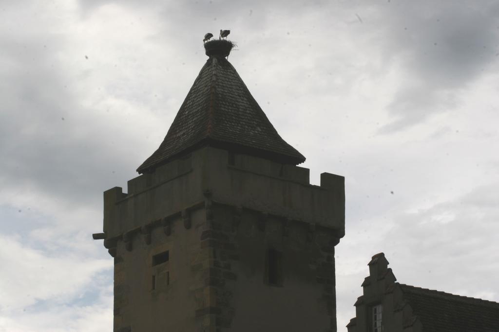 Gite Duplex Du Vignoble Alsace Rouffach Eksteriør billede