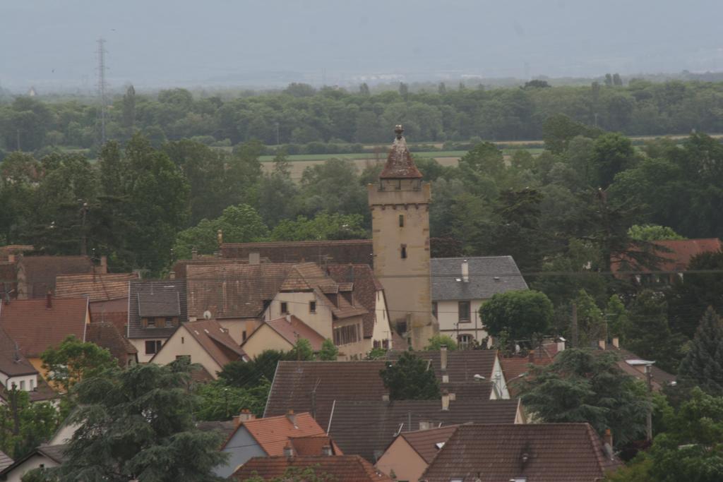 Gite Duplex Du Vignoble Alsace Rouffach Eksteriør billede