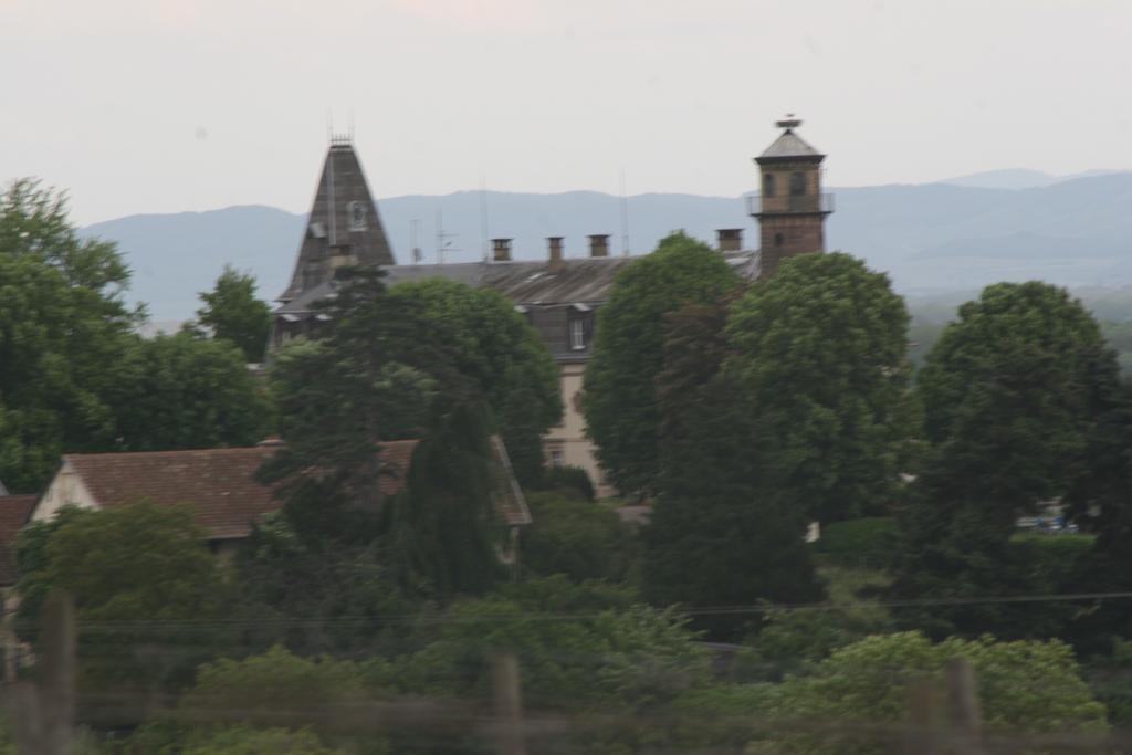 Gite Duplex Du Vignoble Alsace Rouffach Eksteriør billede