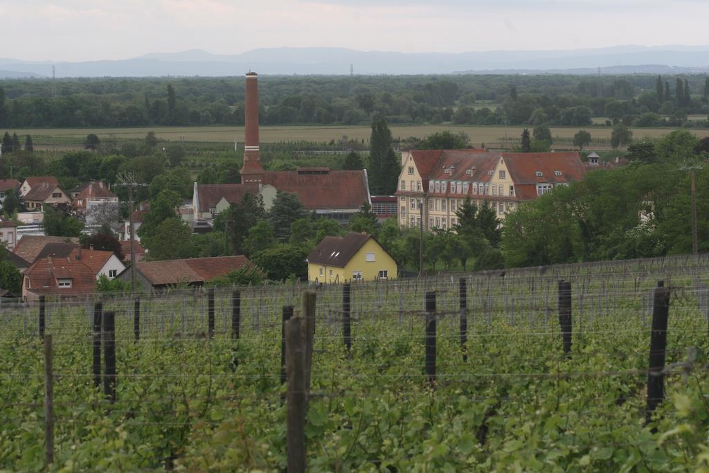 Gite Duplex Du Vignoble Alsace Rouffach Eksteriør billede